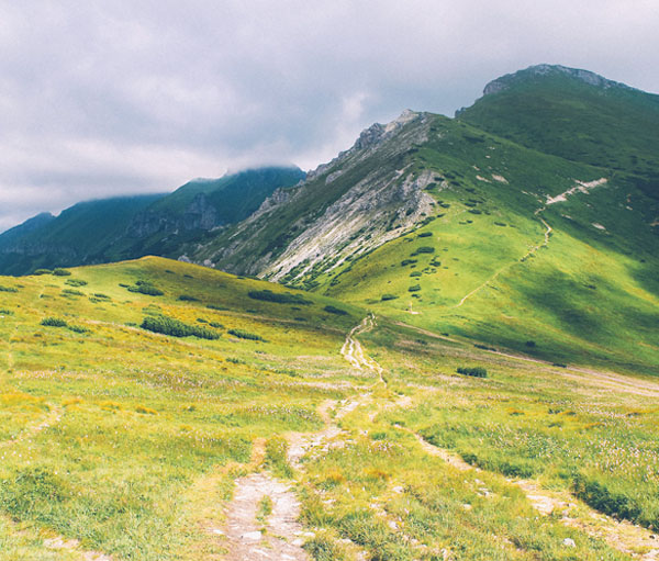 在线DDOS平台攻击